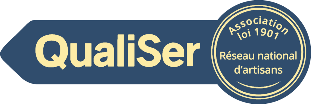 cropped qualiser logo 1