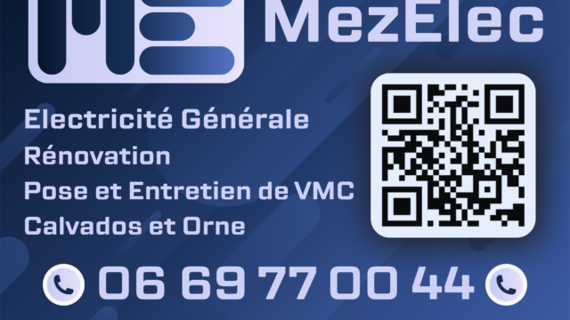 Lieu unique mezelec 1